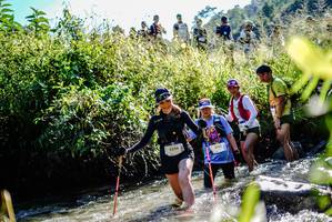 BIB: 3256, 3154
                            <button type="button" onclick="openModal(19295386)" class="btn btn-primary btn-sm float-right btn-popup" data-toggle="modal" data-target=".modal-high-quality">
                        <i class="fas fa-shopping-cart"></i> Add to Cart
                    </button>
                                            <button type="button" onclick="isThisMe(19295386, true)" class="btn btn-success btn-sm float-right btn-popup btn-isme hidden" data-toggle="tooltip" data-placement="bottom" title="นี่คือรูปของคุณใช่ไหม คลิกที่นี่เพื่อเอาเข้าอัลบั้ม">
                        <i class="fas fa-plus"></i> Add to album
                    </button>
                    <button type="button" onclick="isThisMe(19295386, false)" class="btn btn-warning btn-sm float-right btn-popup btn-isnotme hidden">
                        <i class="fas fa-ban"></i> Remove from album
                    </button>